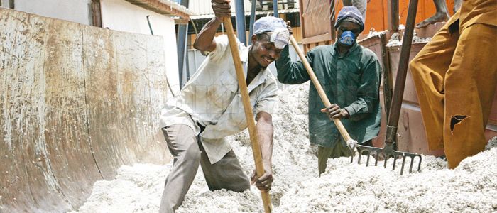 Transformation de l’économie: le textile file du bon coton